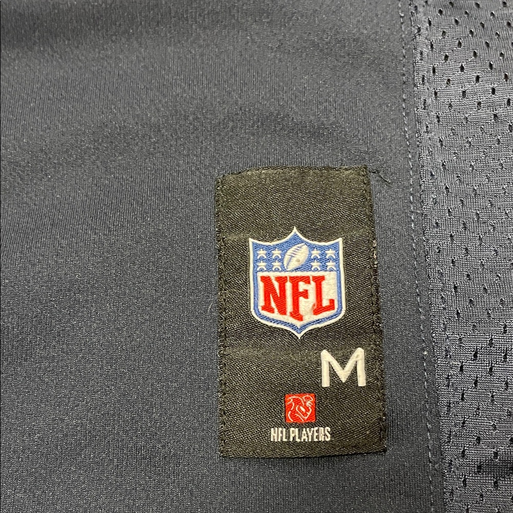 Youth NFL Chicago Bears #29 Team Jersey - Picture 4 of 5